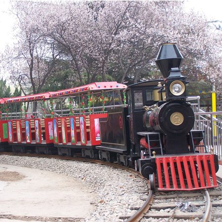 Tourist track train