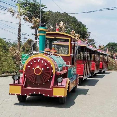 Tourist trackless train