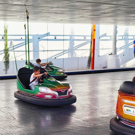 Skynet Bumper Cars